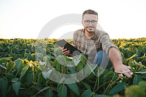 Young handsome agriculture engineer in soybean field with tablet in hands in early summer