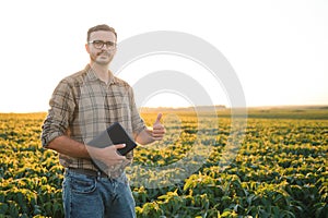 Young handsome agriculture engineer in soybean field with tablet in hands in early summer