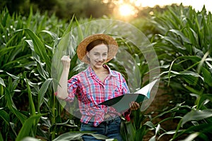 Young handsome agriculture engineer standing in corn field with tablet in early summer