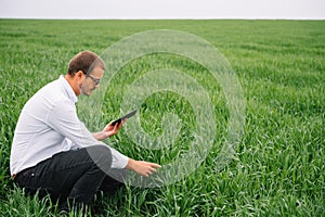 Young handsome agronomist, agriculture engineer standing in green wheat field with tablet in hands in early summer. Agribusiness