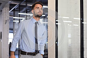 Young handsome businessman smiling in an office environment