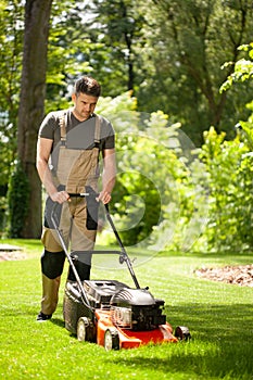 Handsome gardener waring brown overall and mowing the grass photo