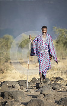 Young handsome maasai warrior in his traditional outfit