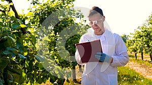 A young handsome male biologist or agronomist, working in a tablet, wearing a white coat, wearing goggles, wearing blue rubber g