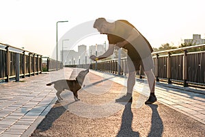 Young handsome man is feeding his dog from hand in the morning on empty street of city