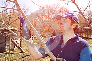 Young handsome man makes spring pruning
