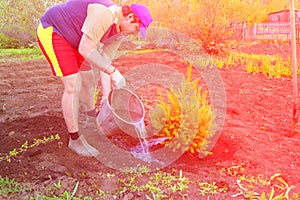 A young handsome man plants a sapling of spruce