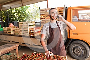Young handsome man talk on phone with costumers in front collect tomatoes boxes at greenhouse. Online phone sales of tomato orders