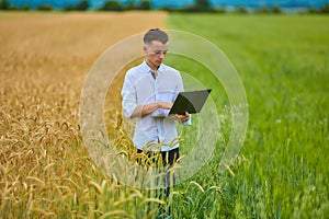 Young handsome student with laptop in wheat field in summer. Young male agronomist or agricultural engineer