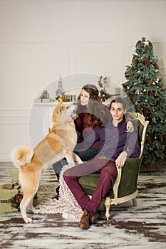 Young happy couple cuddling adorable akita inu dog while sit on stylish retro armchair for Christmas holidays at home. Christmas