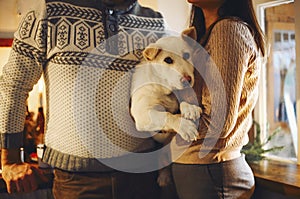 Young happy couple man and woman holding cute white dog and hugging while standing in kitchen decorated for Christmas