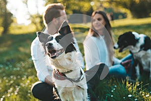 Young happy couple playing with dogs, having fun in park
