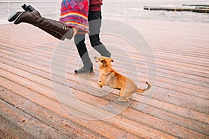 Young happy couple walking with dog and having fun on the rainy berth in autumn. Sea background