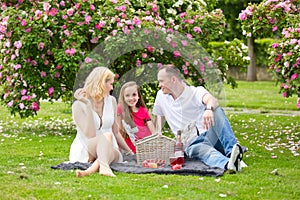 Young happy family having picnic outdoors