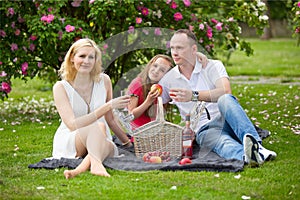 Young happy family having picnic outdoors