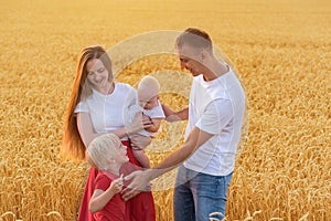 Young happy family walking in field of ripe wheat. Mom, dad and two kids having fun