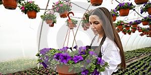 Young happy female gardener holding plant in pot. Young lady gardener holding plants in pots trying to sell them