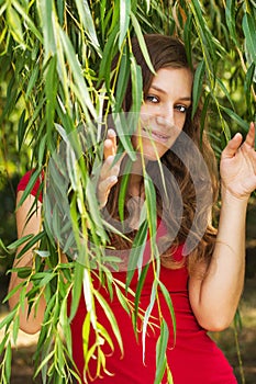 Young happy girl in the leaves of the willow