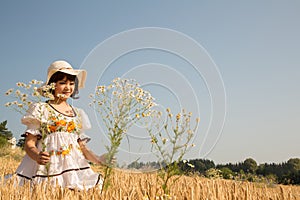 Young happy girl walking in a wheat field and picks flowers.