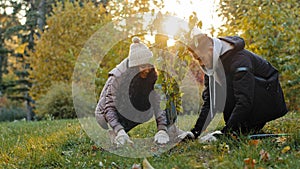 Young happy hispanic couple in love in park planting tree in gloves fertilize soil take care natural plants environment