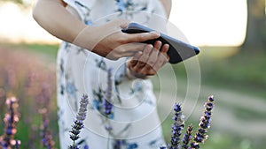 Young Happy Little Girl Hands Making Pictures of Endless Lavender Fields on a Smart Phone CLOSE UP. Unrecognizable Girl