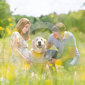 Young happy pregnant couple petting it`s Golden retriever dog outdoors in meadow.