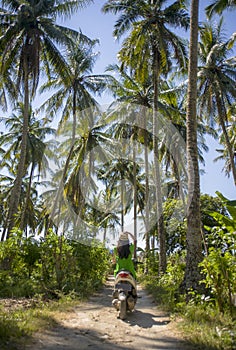 Young happy tourist woman with hat riding scooter motorbike in tropical paradise jungle with blue sky and palm trees exploring tr