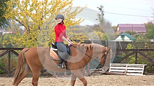 Young happy woman riding a horse.