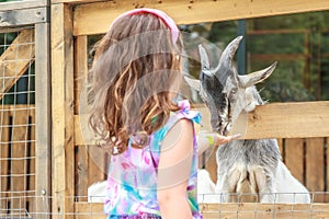 Young happy young girl feeding goat on farm