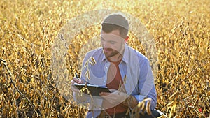 Young hardworking farmer agronomist in soybean field checking crops before harvest. Organic food production and