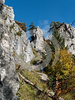 Young hiker backpacker woman on the hiking path having a mountain walk using trekking poles enjoying autumn nature with huge