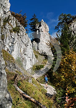 Young hiker backpacker woman on the hiking path having a mountain walk using trekking poles enjoying autumn nature with huge