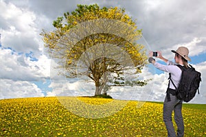 Young hiker lady taking a cellphone picture of a beautiful tree