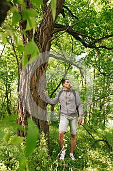 Young hiker man with backpack walking in summer forest. Travelling male standing near a big tree