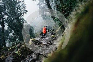 Young hiker traveling across hazy mountain forest. Man tourist walk by foggy rocky track wearing backpack