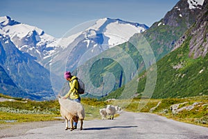 Young hipster female traveler on road