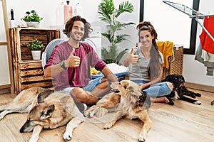 Young hispanic couple doing laundry with dogs doing happy thumbs up gesture with hand