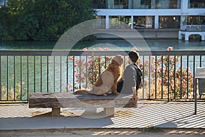 Young Hispanic man with a beard, sunglasses and black shirt, sitting on a bench next to his dog at sunset seen from behind.