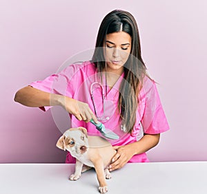 Young hispanic veterinarian girl concentrated combing little dog at the clinic