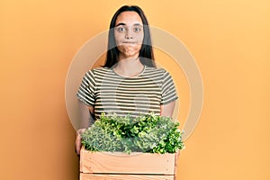 Young hispanic woman holding wooden plant pot puffing cheeks with funny face