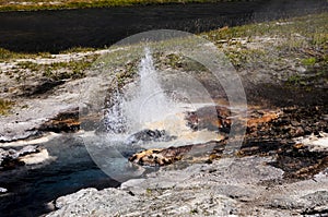 Young Hopeful Geyser