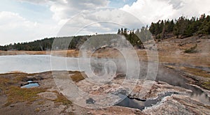 Young Hopeful Geyser next to Firehole Lake in the Lower Geyser Basin in Yellowstone National Park in Wyoming USA