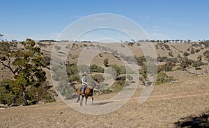 Young horse instructor or cattleman riding the animal in cowboy hat and rider boots