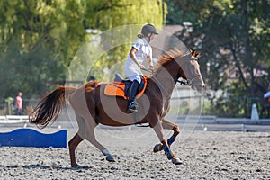 Young horse rider girl galloping on her course