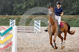 Young horse rider girl restraining a horse on show jumping course in equestrian sports competition photo