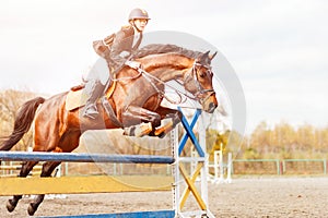 Young horseback rider jumping over hurdle on show