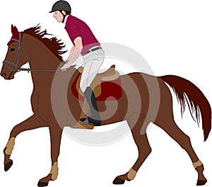 Young horseman riding elegant horse color illustration