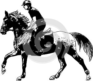 Young horseman riding elegant horse sketch illustration