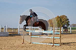 Young horsewoman on brown horse overcomes an obstacle outdoors, copy space. Equestrian sport.