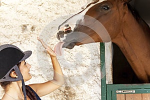 Young horsewoman with its horses in the stable